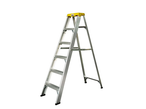 Unilateral ladder